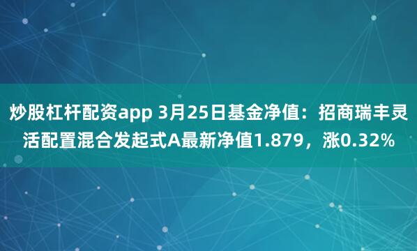炒股杠杆配资app 3月25日基金净值：招商瑞丰灵活配置混合发起式A最新净值1.879，涨0.32%