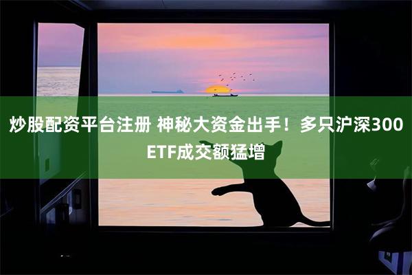 炒股配资平台注册 神秘大资金出手！多只沪深300ETF成交额猛增