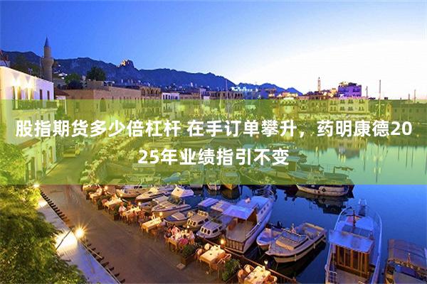 股指期货多少倍杠杆 在手订单攀升，药明康德2025年业绩指引不变
