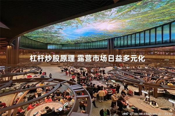 杠杆炒股原理 露营市场日益多元化