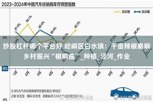 炒股杠杆哪个平台好 崆峒区白水镇：千亩辣椒奏响乡村振兴“椒响曲”_种植_泾河_作业