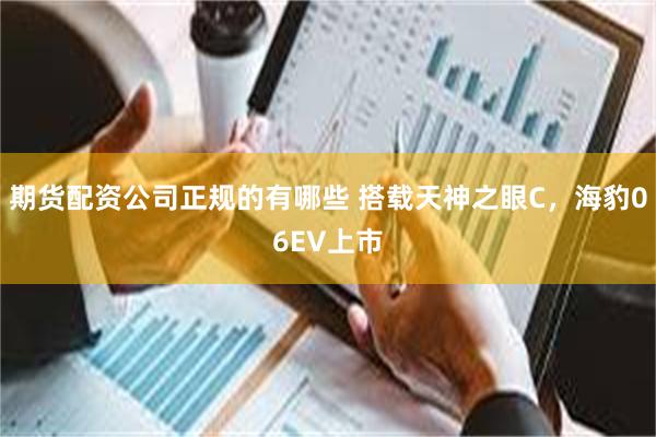 期货配资公司正规的有哪些 搭载天神之眼C，海豹06EV上市
