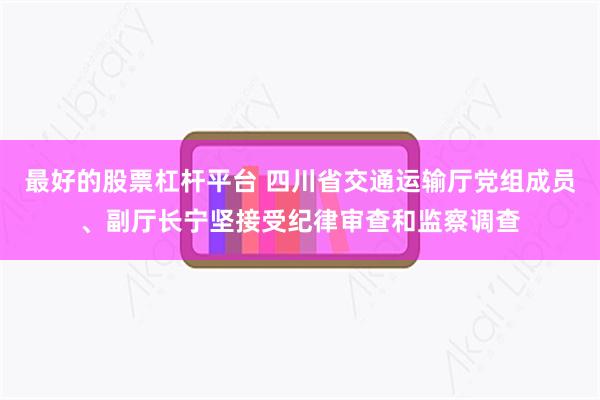 最好的股票杠杆平台 四川省交通运输厅党组成员、副厅长宁坚接受纪律审查和监察调查
