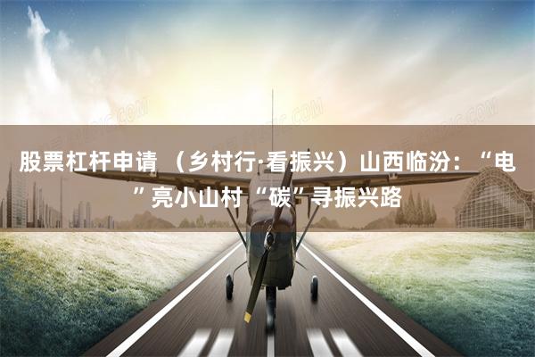 股票杠杆申请 （乡村行·看振兴）山西临汾：“电”亮小山村 “碳”寻振兴路