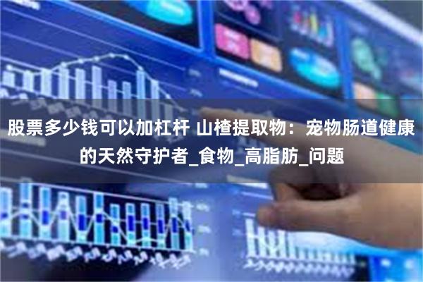 股票多少钱可以加杠杆 山楂提取物：宠物肠道健康的天然守护者_食物_高脂肪_问题