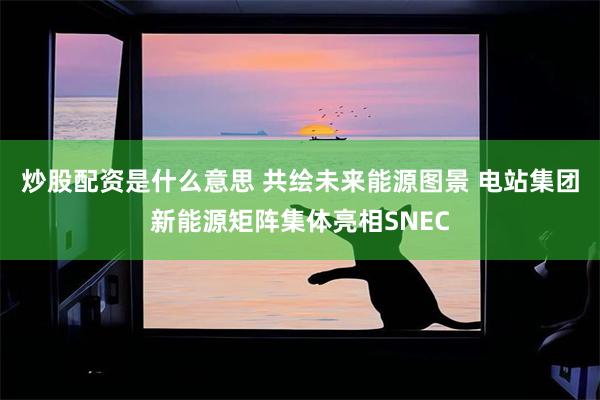 炒股配资是什么意思 共绘未来能源图景 电站集团新能源矩阵集体亮相SNEC