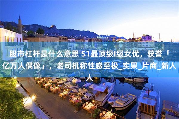 股市杠杆是什么意思 S1最顶级I级女优，获誉「亿万人偶像」，老司机称性感至极_实果_片商_新人