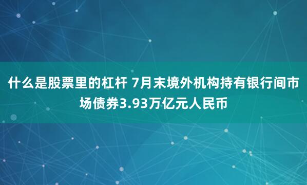 什么是股票里的杠杆 7月末境外机构持有银行间市场债券3.93万亿元人民币