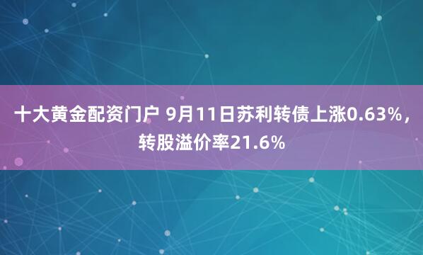十大黄金配资门户 9月11日苏利转债上涨0.63%，转股溢价率21.6%